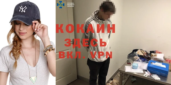 сатива Алзамай