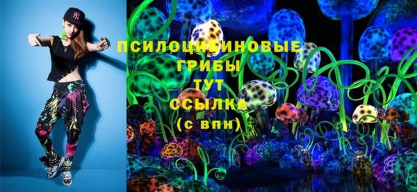 сатива Алзамай